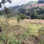 Terreno à venda na Rua Vicente de Col, 00, Pagnoncelli, Pato Branco