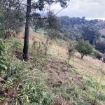 Terreno à venda na Rua Vicente de Col, 00, Pagnoncelli, Pato Branco