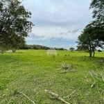 Chácara / sítio à venda na RUA PASSO DA ILHA, 00, Zona Rural, Pato Branco