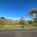 Terreno à venda na Rua Joel de Mello, 00, São Luiz, Pato Branco