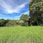 Chácara / sítio à venda na RUA PASSO DA ILHA, 00, Zona Rural, Pato Branco