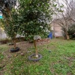 Terreno à venda na Rua Professor Orlando Sprenger Lobo, 389, Tingui, Curitiba