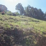 Terreno à venda na Rua íris, 402, Jardim Boa Vista, Campo Magro