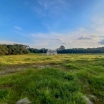 Terreno comercial à venda na Rodovia BR-376, 00, Campo Largo da Roseira, São José dos Pinhais