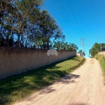 Chácara / sítio com 4 quartos à venda na Estrada Passo Amarelo, 3291, Área Rural de Fazenda Rio Grande, Fazenda Rio Grande