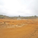 Terreno comercial para alugar na Rodovia Contorno Norte de Curitiba, 5889, Butiatuvinha, Curitiba