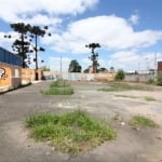 Terreno comercial para alugar na Rodovia João Leopoldo Jacomel, 11975, Centro, Pinhais