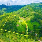 Terreno à venda na Estrada Da Faxina, S/N, Taquaral, Campo Largo