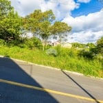 Terreno à venda na Rua Bolívia, 78, Conjunto Habitacional Monsenhor Francisco Gorski, Campo Largo