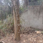 Terreno a venda condomínio Parque da Fazenda Itatiba