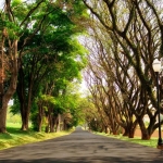 Terreno a venda em condomínio