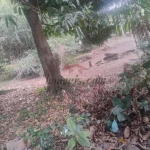 Terreno à venda na Estrada do Tindiba, 410, Pechincha, Rio de Janeiro