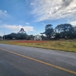 Terreno comercial para alugar na Rua Antônio Bizetto, 78, Vila Ferrari, Campo Largo