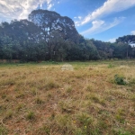 Terreno comercial para alugar na Rua Antônio Bizetto, 14, Vila Ferrari, Campo Largo