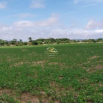 Terreno à venda na Rua João Batista Zanin, 360, Vila Ferrari, Campo Largo