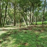 Chácara / sítio com 1 quarto à venda na Estrada Particular, 3, Jardim Bela Vista, Balsa Nova