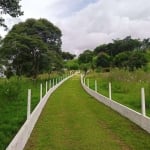 Chácara / sítio com 3 quartos à venda na Estrada Itambezinho, 1, São João do Povinho, Campo Largo