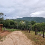 Chácara / sítio com 1 quarto à venda na Estrada da Faxina, 8, São Luiz do Purunã, Balsa Nova