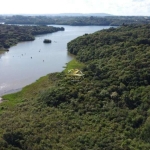 Chácara / sítio com 1 quarto à venda na Rua Theodoro Fila, 1, Colônia Cristina, Araucária