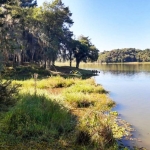 Chácara / sítio com 1 quarto à venda na Avenida Cristina, 4, Jardim Florestal, Campo Largo