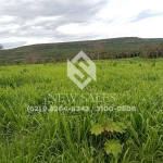 Fazenda à venda em Pontal do Araguaia-MT! 100 Alqueires!