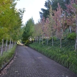 Terreno à venda na Para Linha Bonita, 1000, Mato Queimado, Gramado