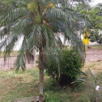 Terreno em condomínio fechado à venda na Rua Upamaroti, 1110, Cristal, Porto Alegre