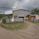 Barracão / Galpão / Depósito para alugar na Avenida Edgar Pires de Castro, 10244, Lageado, Porto Alegre