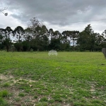 Terreno à venda na Rua Bernardo Guimarães, 000, Colônia Dona LuÍza, Ponta Grossa