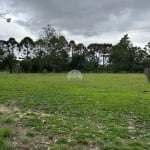 Terreno à venda na Rua Bernardo Guimarães, 000, Colônia Dona LuÍza, Ponta Grossa