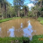 Chácara / sítio com 4 quartos à venda na Zona Rural Aragoiania, 100, Zona Rural, Aragoiânia