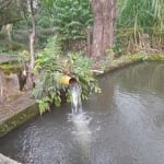 Chácara / sítio à venda na Rua José de Alencar, 1000, Jardim Nova Goiânia, Senador Canedo