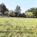 Terreno à venda na Rua Virgínio Manfron, 000, Cidade Satélite Íris, Campinas