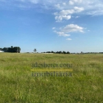 Sítio / Chácara no Fazenda Ribeirão em Holambra