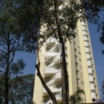 Apartamento à venda, Vila Andrade, São Paulo, SP