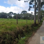 Terreno para Venda em São José dos Pinhais, Contenda, 1 dormitório