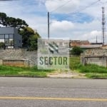 Terreno Locação  no centro de São José dos Pinhais