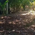 Terreno à venda na Bairro Arraial D'Ajuda, 8054, Arraial D´Ajuda, Porto Seguro