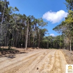 Terreno à venda na Bairro Arraial D'Ajuda, 8269, Arraial D´Ajuda, Porto Seguro