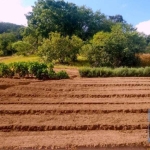 ATENÇÃO LINDA ÁREA DE 12.335,90 M2 PLANA E PLANTADA ESTUDO CARRO E IMOVEL NO PAGAMENTO