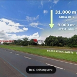 Área na Rodovia Anhanguera, a venda, 40.000m²,  RIBEIRÃO PRETO/SP