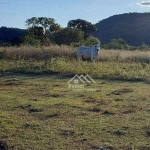 Fazenda com 3 dormitórios à venda, 2216720 m² por R$ 6.305.000,00 - Zona Rural - Minaçu/GO