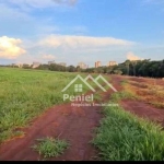 Terreno à venda, 549 m² por R$ 1.300.000,00 - Vila do Golf - Ribeirão Preto/SP