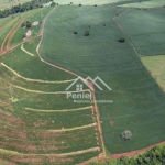 Sítio à venda, 157300 m² por R$ 3.000.000,00 - Zona Rural - Batatais/SP