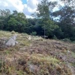 Terreno à venda na Rua João Celli, 11, Santa Catarina, Caxias do Sul