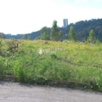 Terreno à venda na Rua João Celli, 99, Santa Catarina, Caxias do Sul