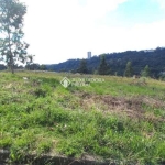 Terreno à venda na Rua João Celli, 19, Santa Catarina, Caxias do Sul