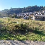 Terreno à venda na Rua João Celli, 8, Santa Catarina, Caxias do Sul