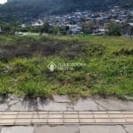 Terreno à venda na Rua Luiz Covolan, 6, Santa Catarina, Caxias do Sul