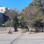 Terreno à venda na Rua Angelina Michielon, 999, Cristo Redentor, Caxias do Sul